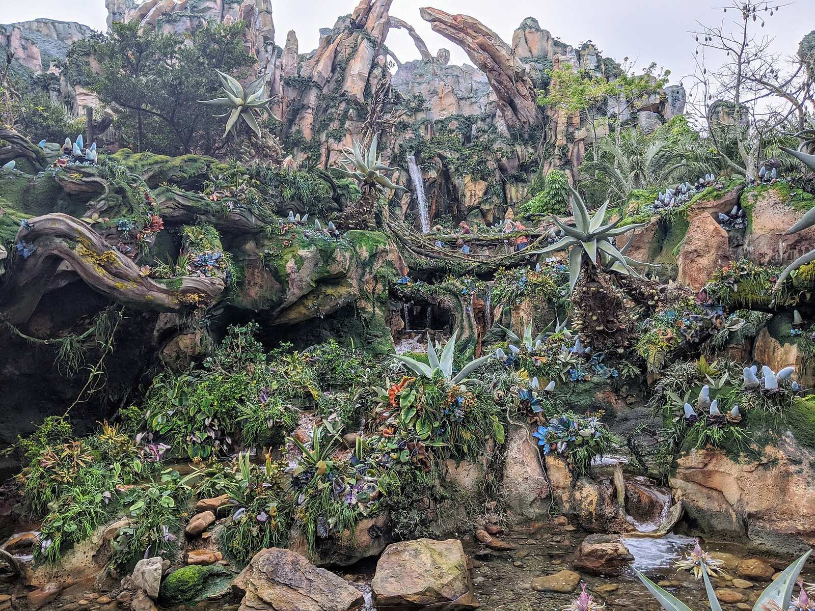 Rockwork, waterfall and plants in Pandora near Avatar Flight of Passage at Animal Kingdom